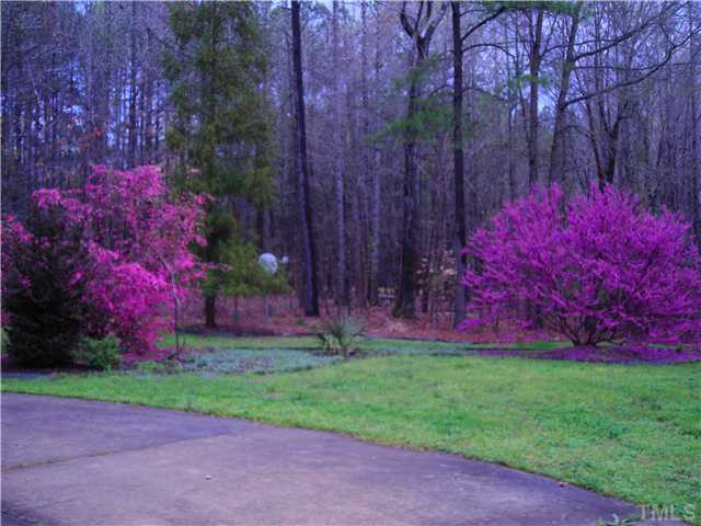 3729 Bosco Road New Hill, NC 27562 - Photo 3 of 25 Photo 3
