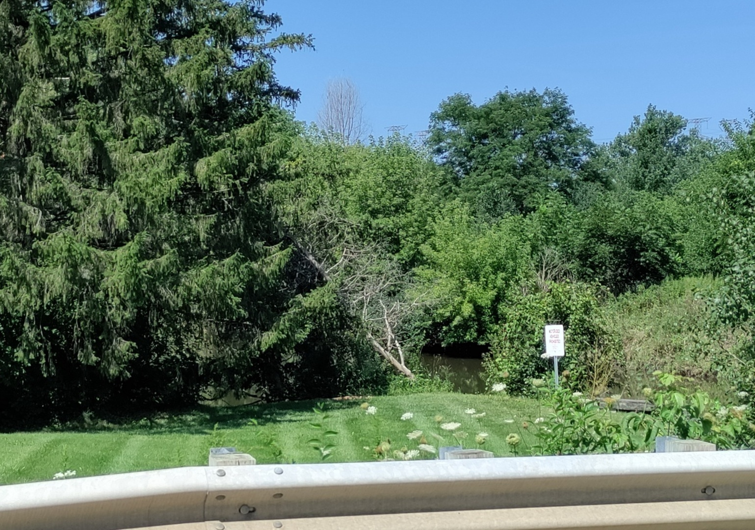 11 Rohrssen Road Elgin, IL 60120 - Photo 4 of 6 a view of a yard with a tree