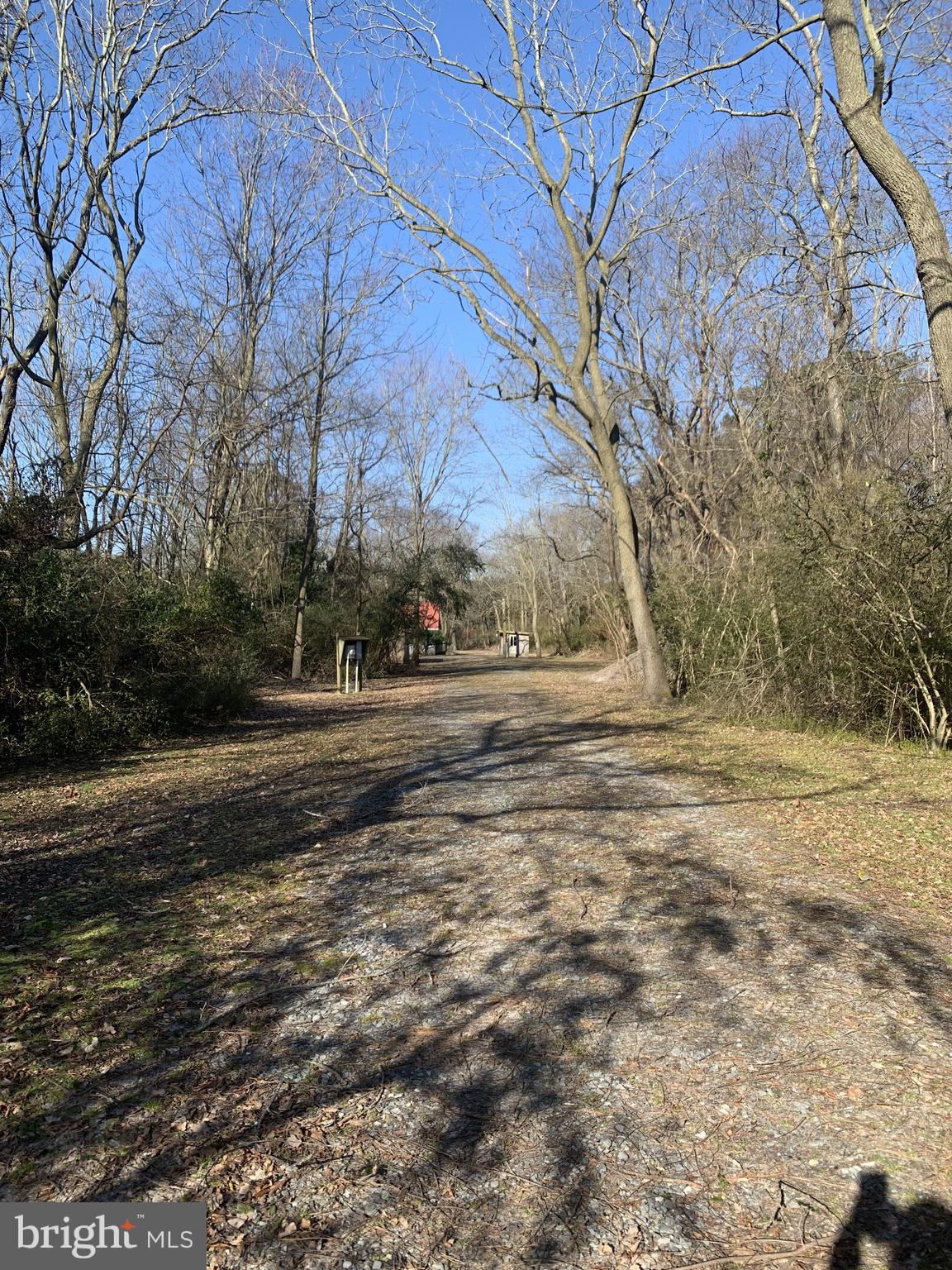 31366 Helms Landing Road Dagsboro, DE 19939 - Photo 1 of 7 From road down the driveway