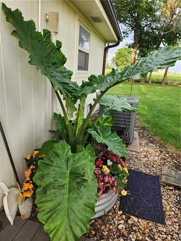 $319,000 | 34361 West 363rd Street, Osawatomie, KS 66064