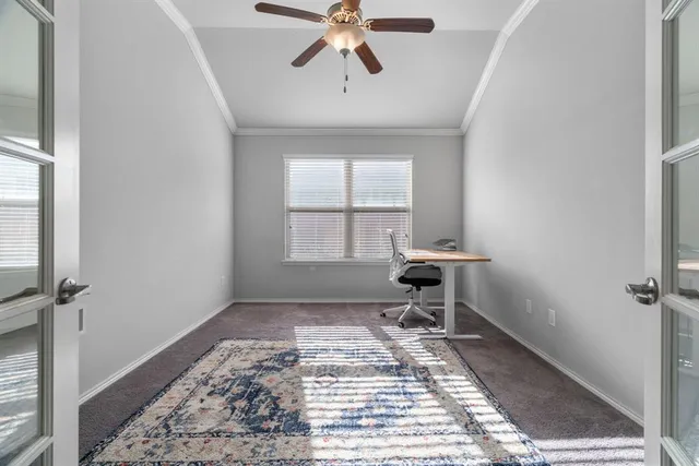 a bathroom with a window and a rug
