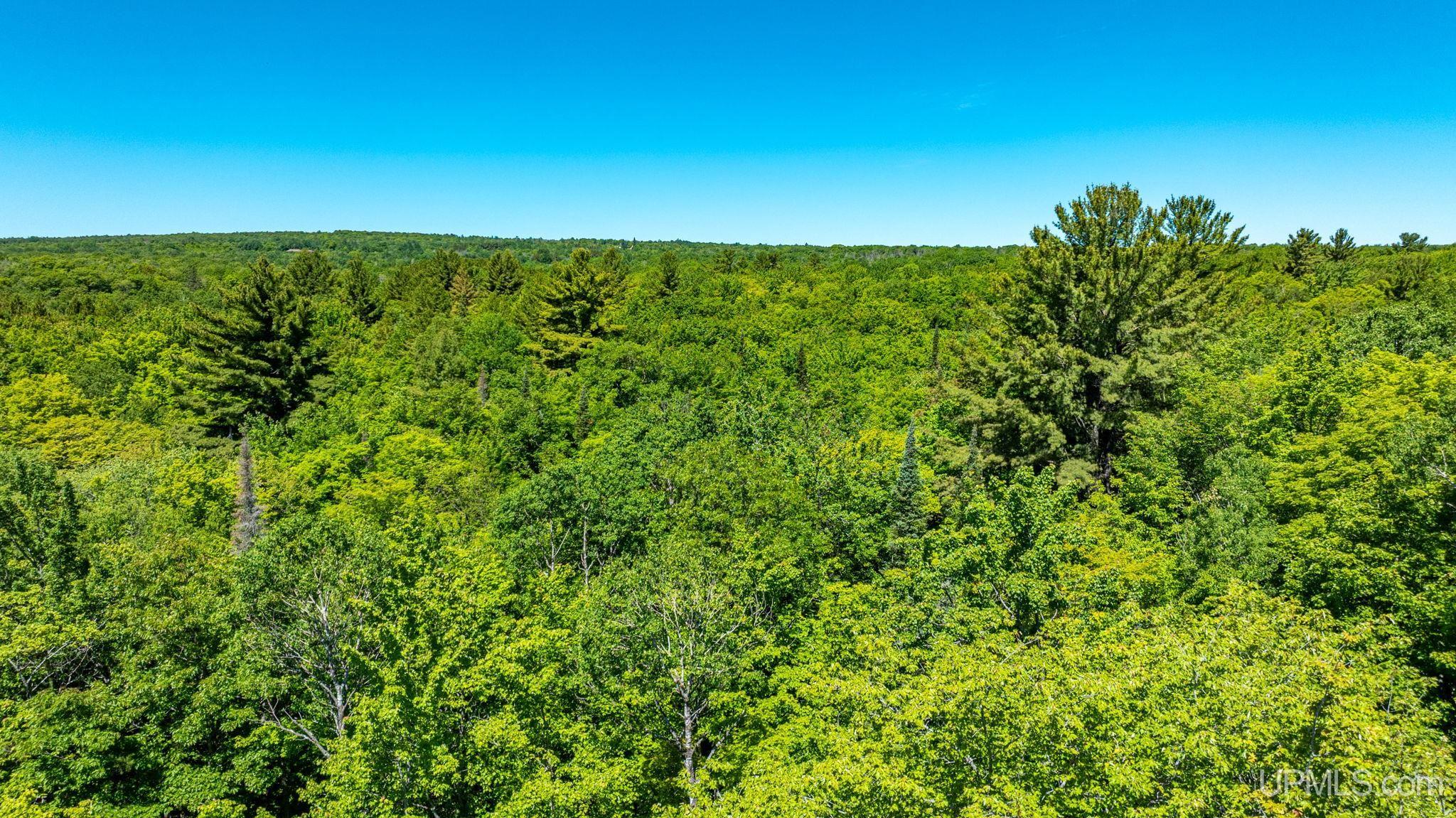 3 Forsman Road Hancock, MI 49930 - Photo 5 of 14