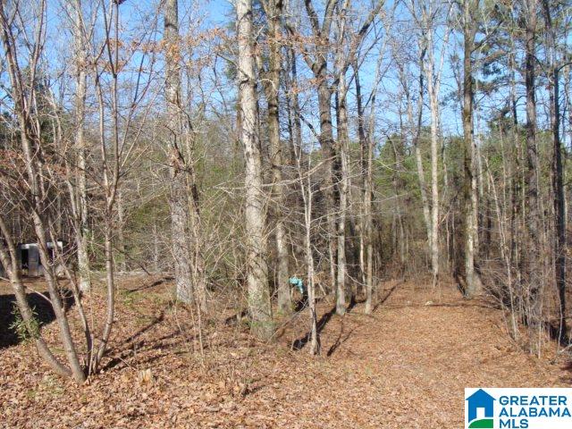 20232 Mark Drive McCalla, AL 35111 - Photo 12 of 15