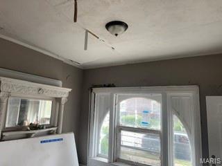 5233 Cates Avenue St. Louis, MO 63113 - Photo 9 of 19