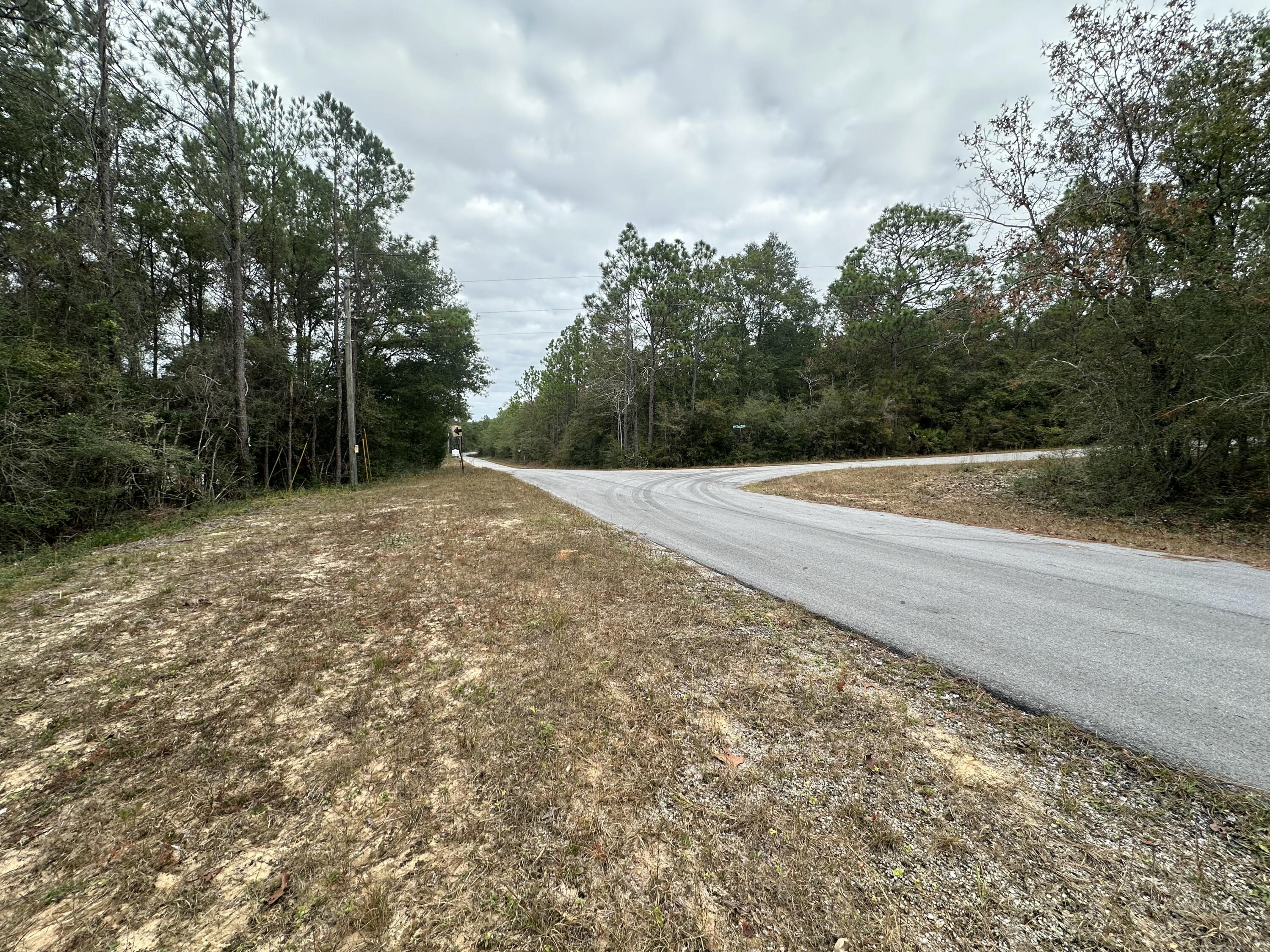 22 Ac /- Shangri-la Road Crestview, FL 32539 - Photo 3 of 16 a backyard of a house with trees