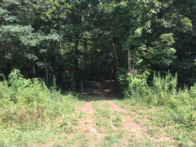 1053 Old Alabama Road Southwest McDonald, TN 37353 - Photo 4 of 7 Gate