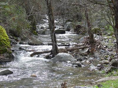 1 Davis Flat Dunlap, CA 93621 - Photo 1 of 10 Parcel has been reduced by 35K gorgeous and private but needs some clean up.