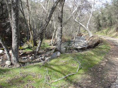 1 Davis Flat Dunlap, CA 93621 - Photo 6 of 10 Gallery Image 6