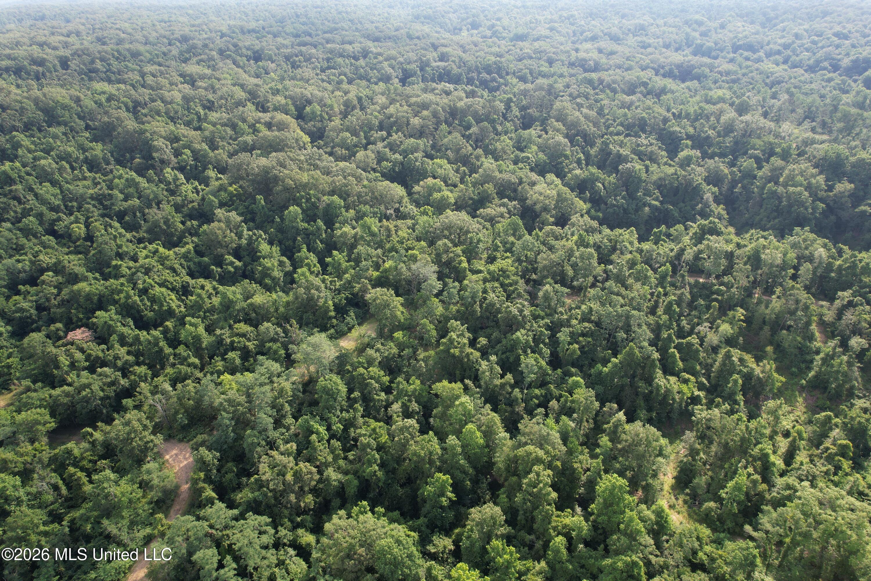 1181 Gowall Road Vicksburg, MS 39183 - Photo 9 of 43 DJI_0564