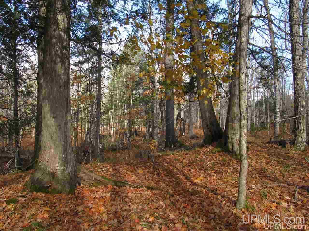 Lot 1 Sicotte Road Skanee, MI 49962 - Photo 12 of 23