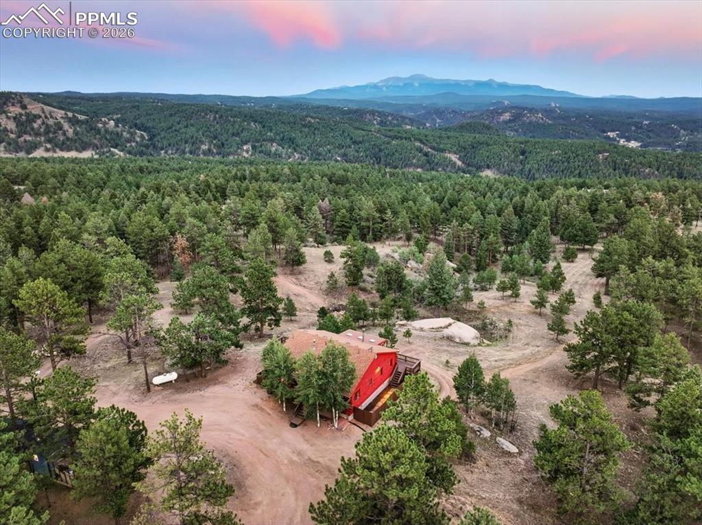 1721 Wildhorn Road Florissant, CO 80816 - Photo 47 of 48