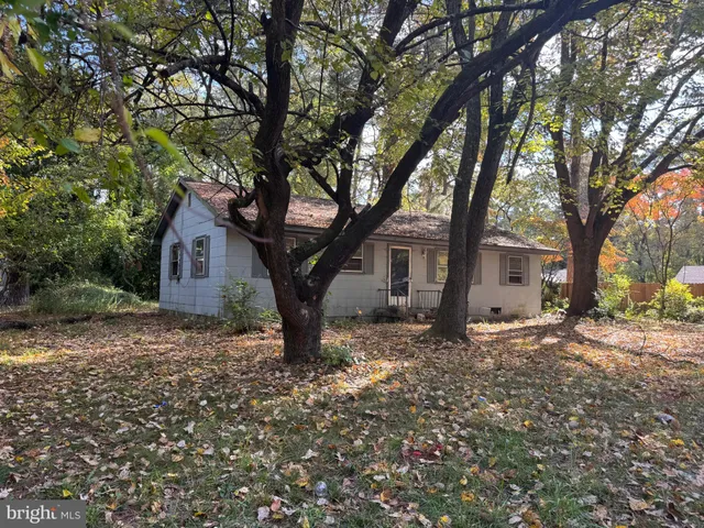 a tree in front of a white house