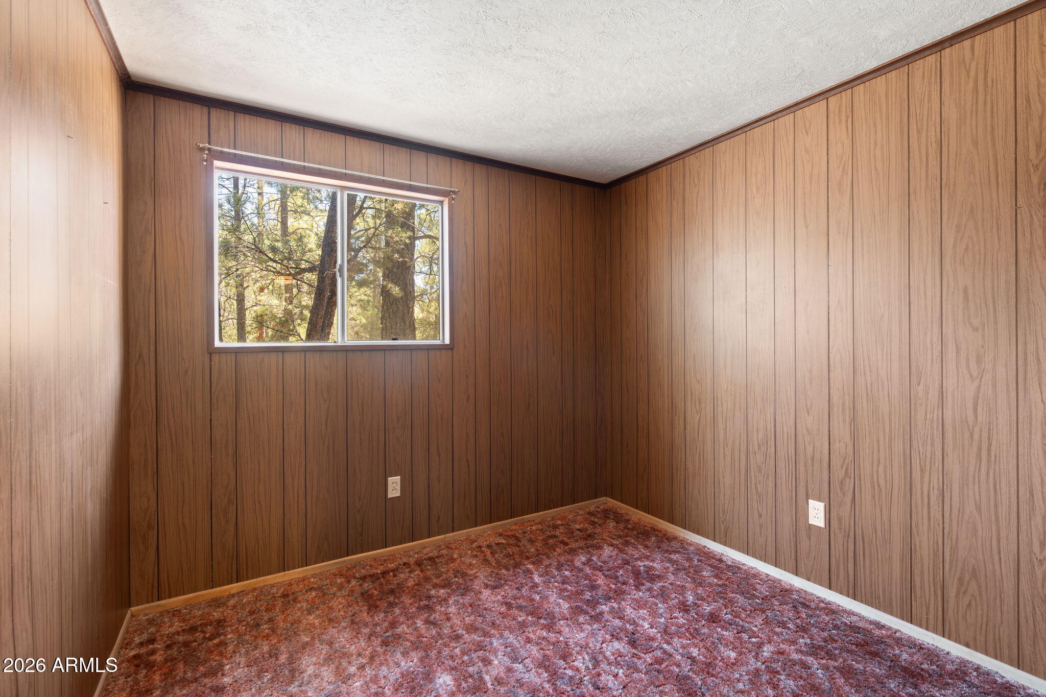 2943 Buckskin Road Overgaard, AZ 85933 - Photo 25 of 36 a view of an empty room and window