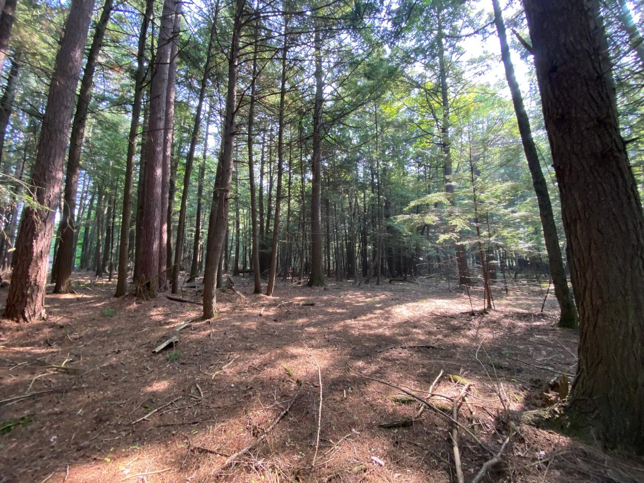 Lot 3 Rangeline Road Eagle River, WI 54521 - Photo 3 of 13 Gallery Image 3