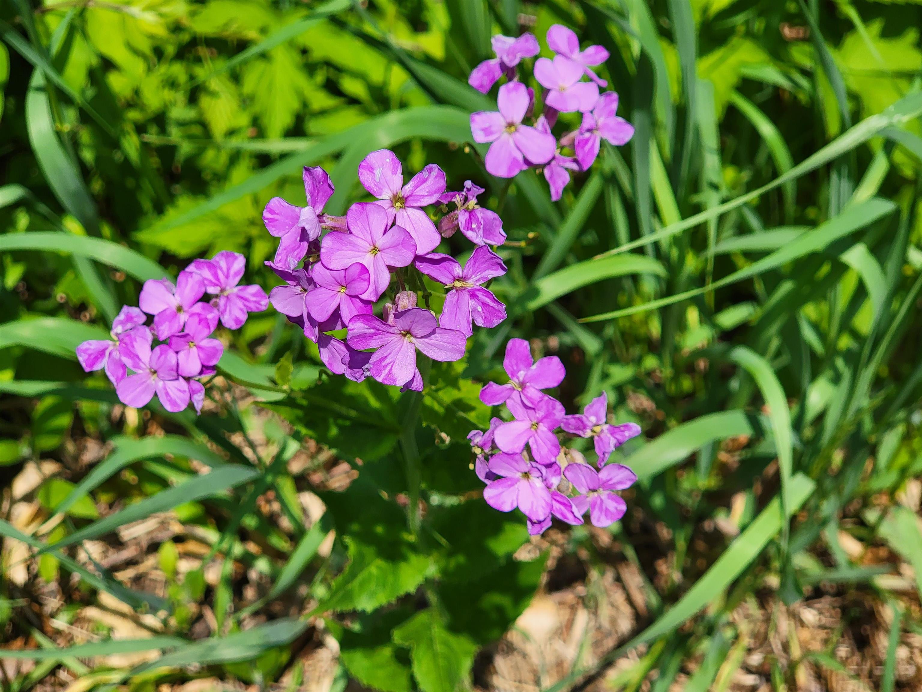 Lot 64 Sunrise Brodhead, WI 53520 - Photo 1 of 1