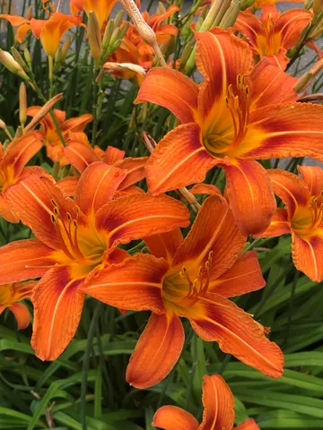 $325,000 | 105 Winter Street, Lewiston, ME 04240