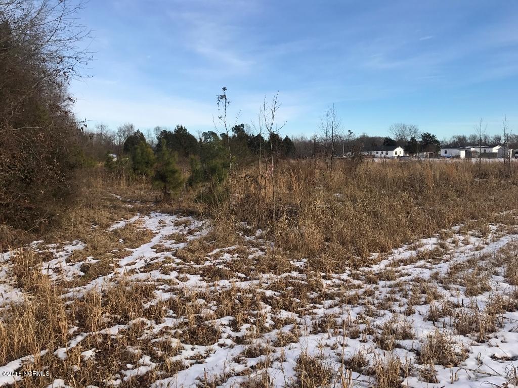 26.89 Bynum Farm Road Pinetops, NC 27864 - Photo 15 of 43 15 (1024x768)