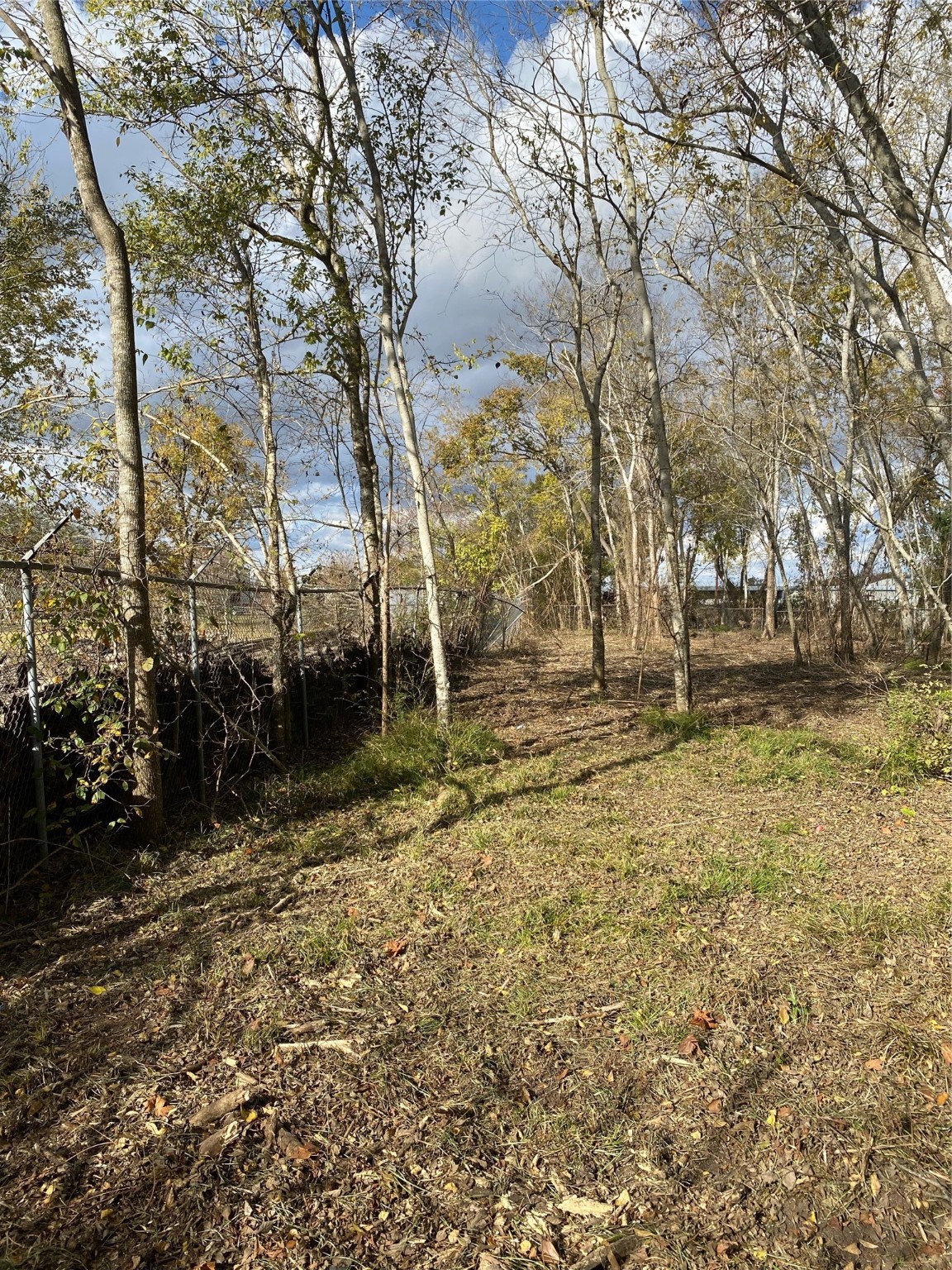 13708 Almeda School Road Houston, TX 77047 - Photo 2 of 3