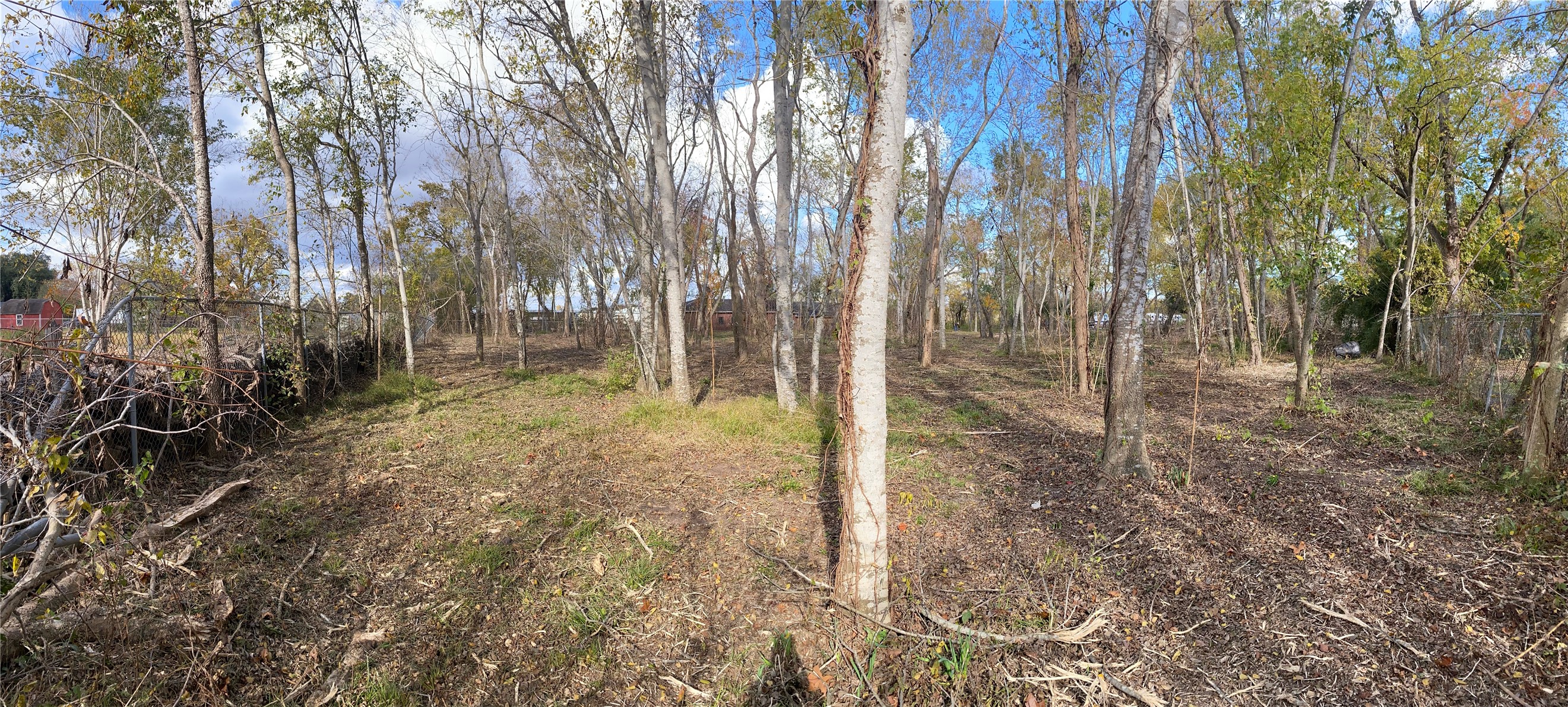 13708 Almeda School Road Houston, TX 77047 - Photo 3 of 3