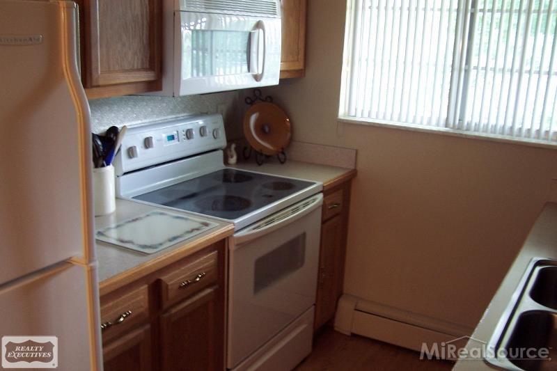 419 North Prospect, Unit 201 Romeo, MI 48065 - Photo 8 of 17 31298798-7.JPG
