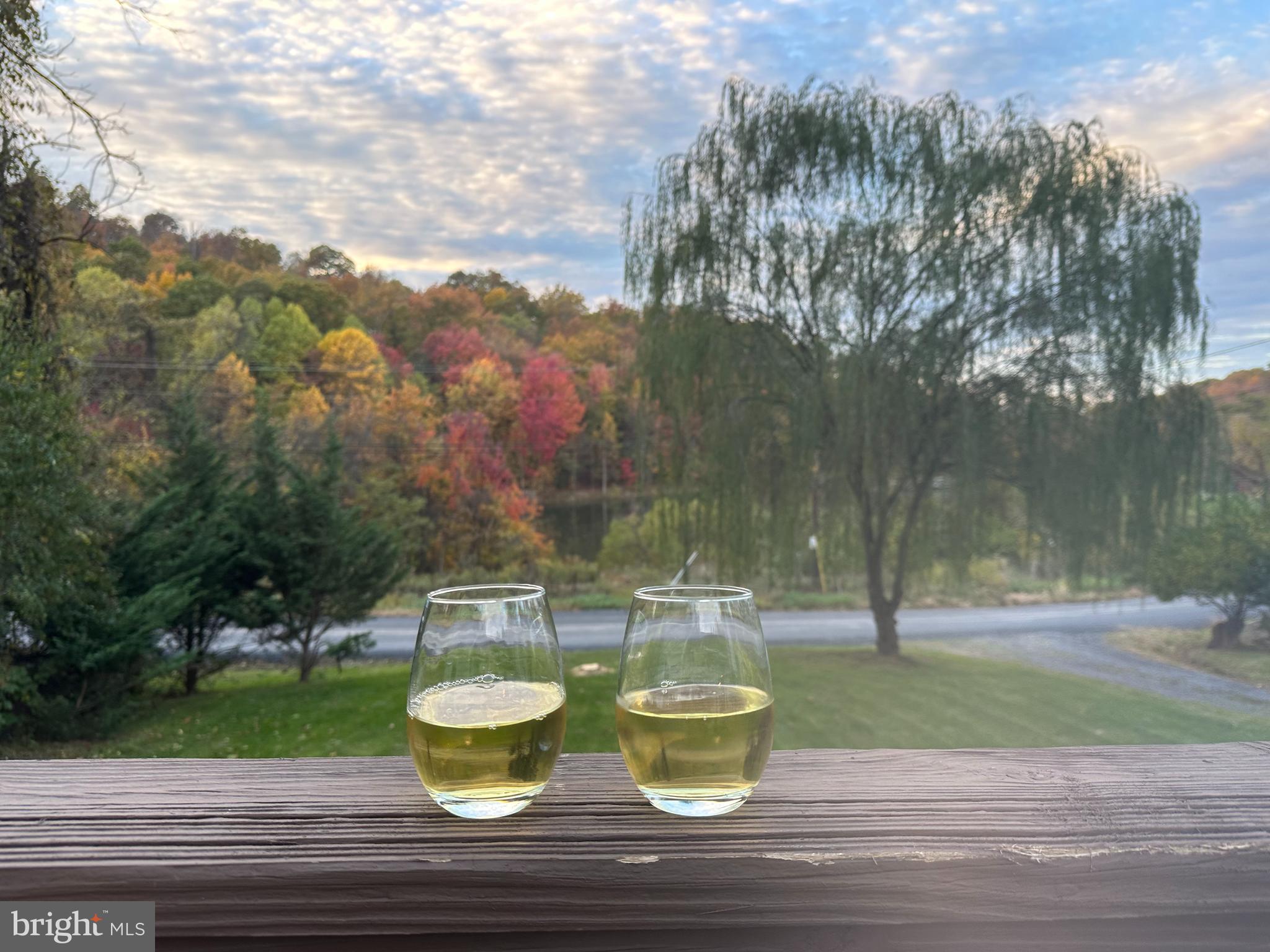 194 Venus Branch Road Front Royal, VA 22630 - Photo 18 of 23 Lakes views from deck