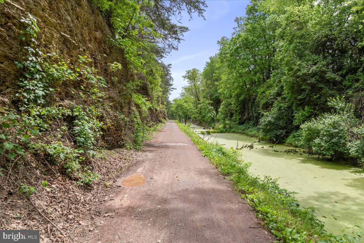 Bakers Island Road Oldtown, MD 21555 - Photo 12 of 22 a view of a pathway both side of yard