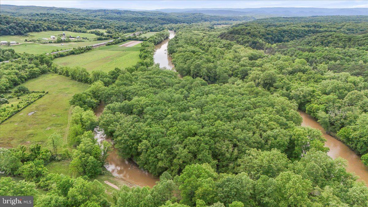 Bakers Island Road Oldtown, MD 21555 - Photo 5 of 22 a view of a lush green forest with lots of trees