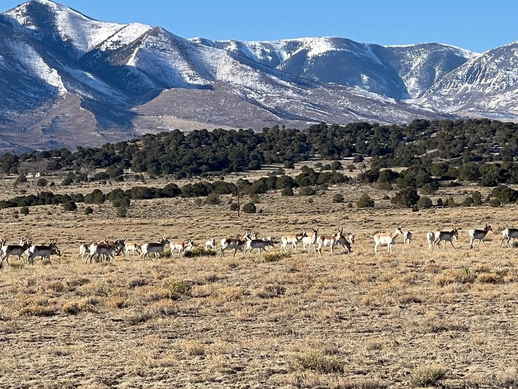 3 B Majors Ranch Road Walsenburg, CO 81089 - Photo 16 of 54