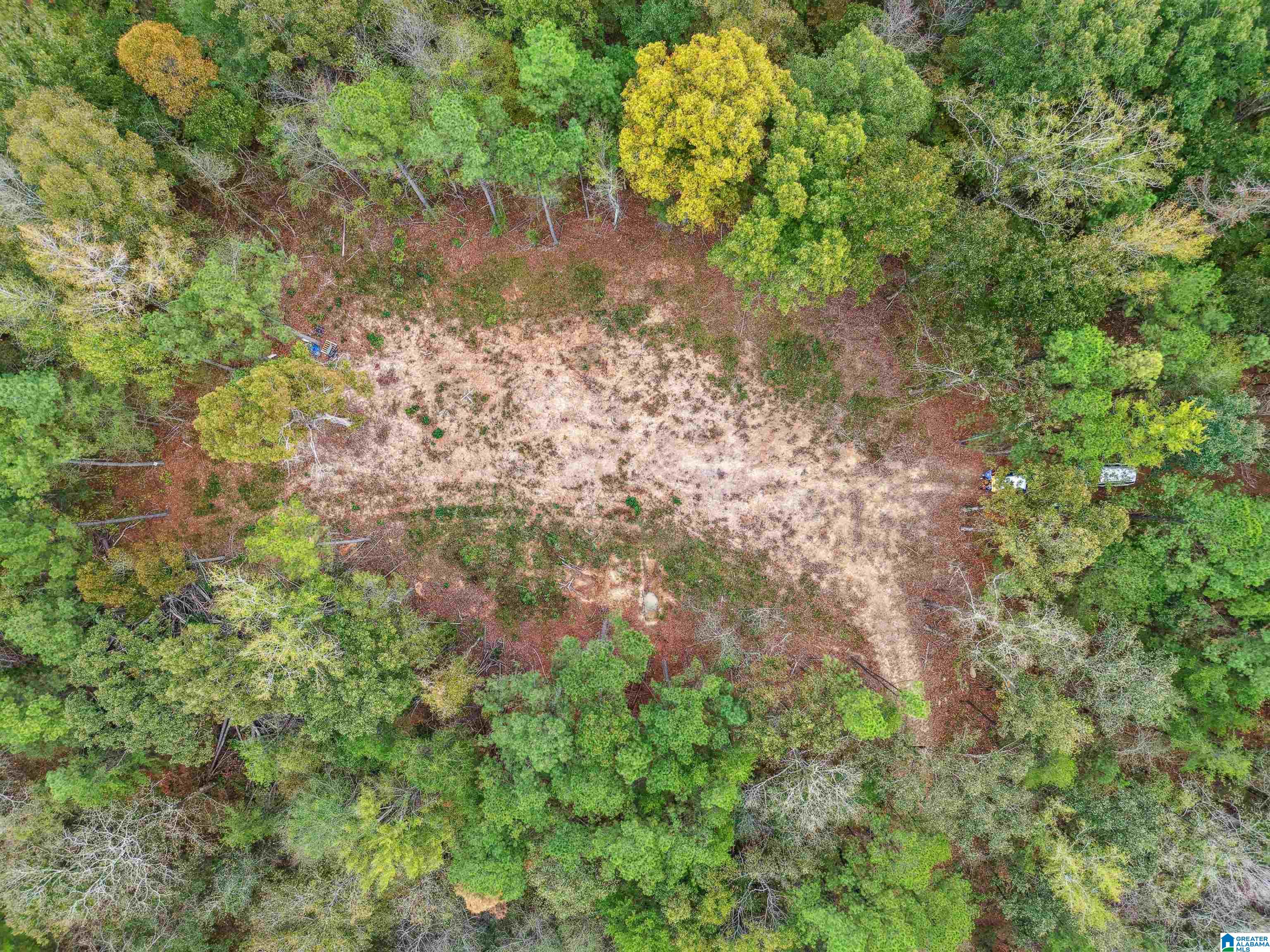 1215 Buddy Vines Camp Road Bessemer, AL 35023 - Photo 12 of 25