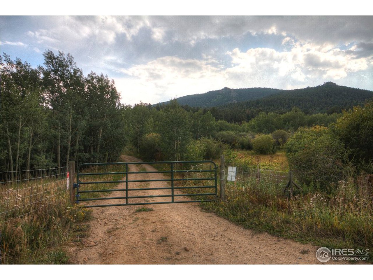 238 Valley Road Lyons, CO 80540 - Photo 18 of 28 a view of outdoor space and yard