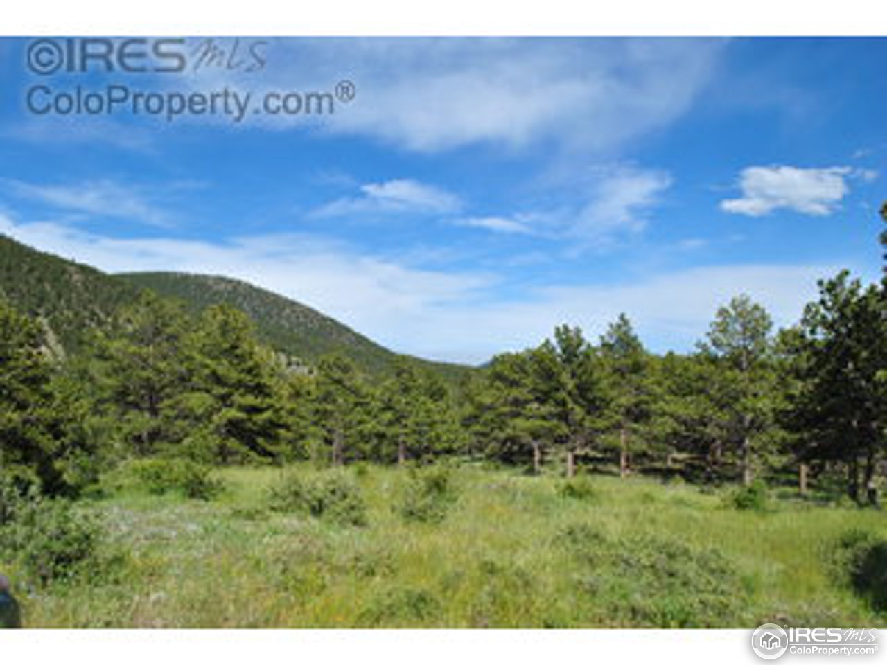 238 Valley Road Lyons, CO 80540 - Photo 6 of 28 a view of a lush green field