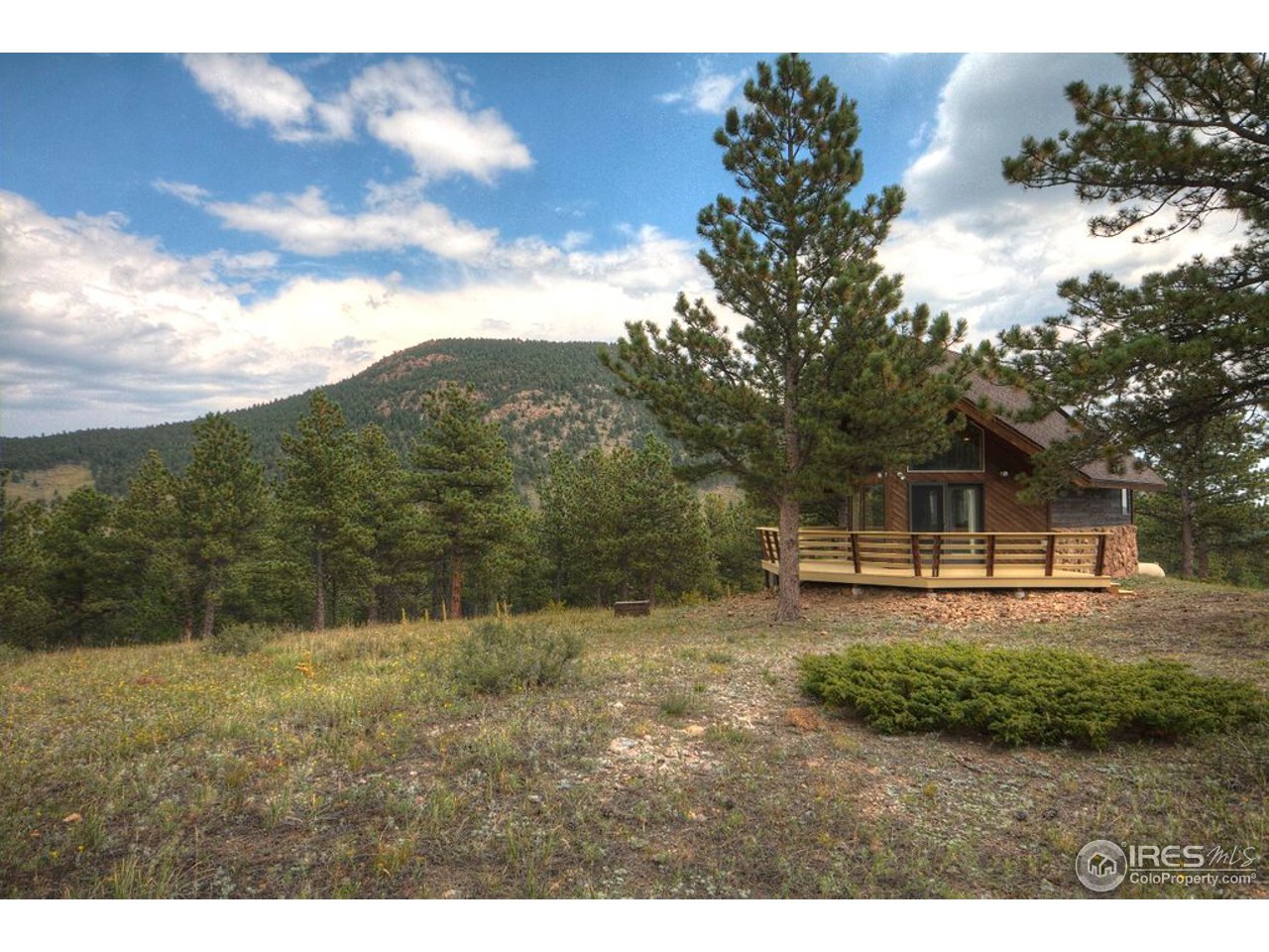 238 Valley Road Lyons, CO 80540 - Photo 9 of 28 a view of a yard with a tree