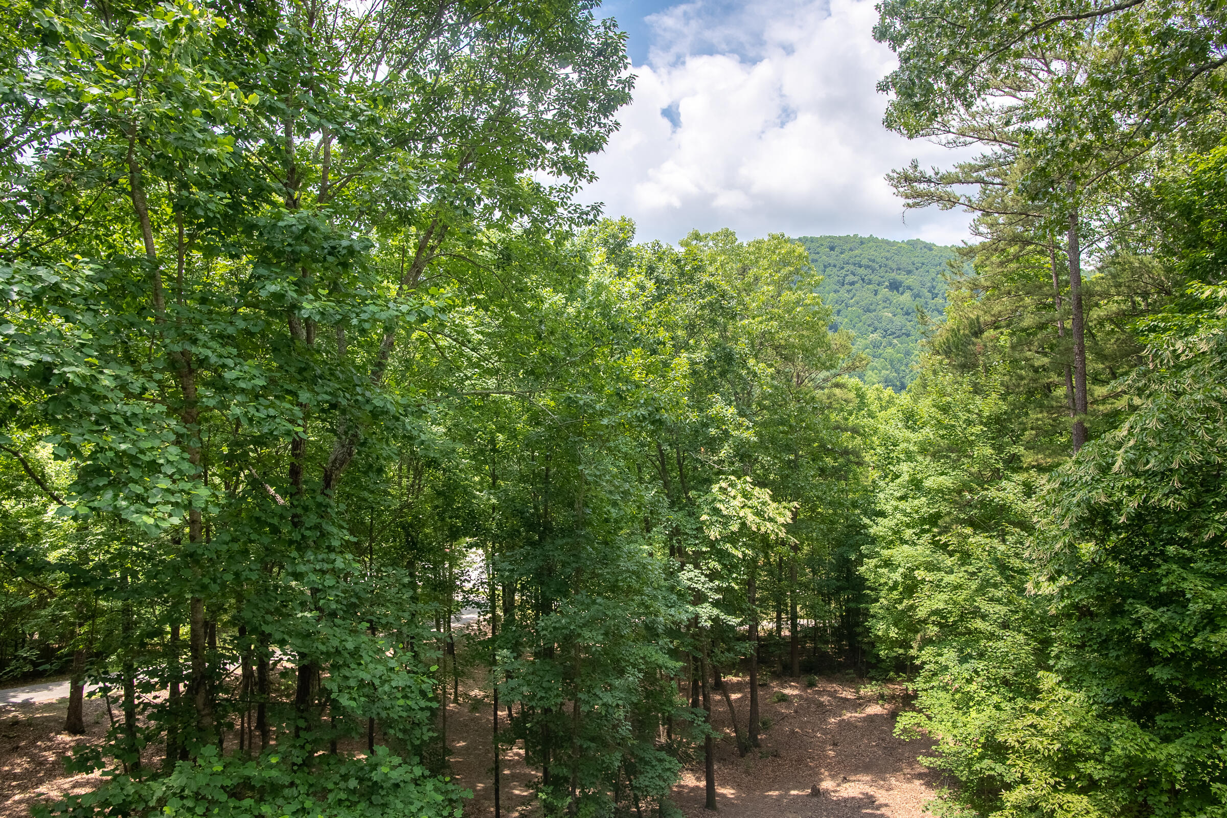421 Woodcock Road Dunlap, TN 37327 - Photo 28 of 63 VIEWS FROM DECK
