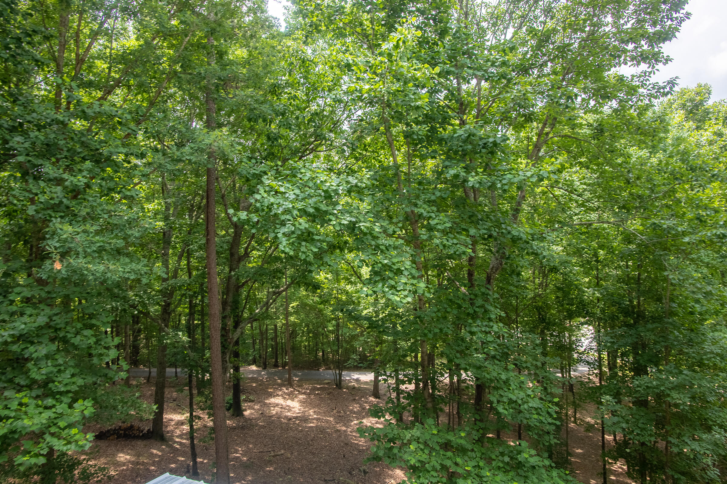 421 Woodcock Road Dunlap, TN 37327 - Photo 32 of 63 WOODED
