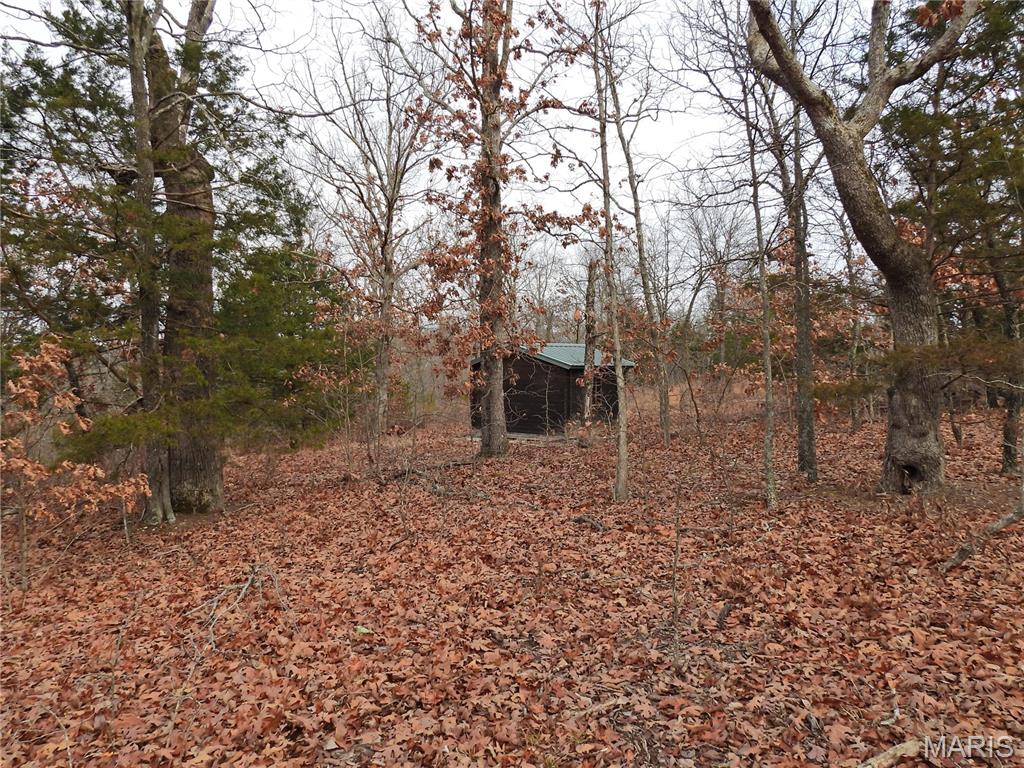 Tbd Cedar Ford Road Cook Sta, MO 65449 - Photo 4 of 13