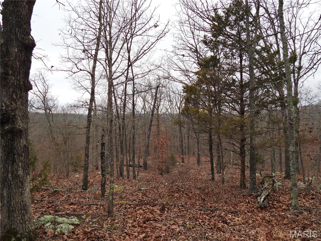 Tbd Cedar Ford Road Cook Sta, MO 65449 - Photo 6 of 13