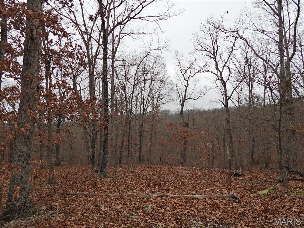 Tbd Cedar Ford Road Cook Sta, MO 65449 - Photo 8 of 13