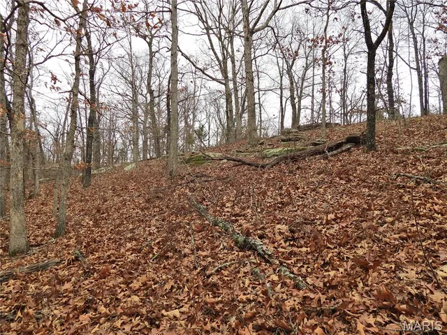 $147,500 | Tbd Cedar Ford Road, Cook Sta, MO 65449