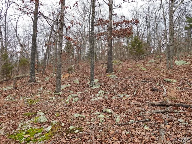 $147,500 | Tbd Cedar Ford Road, Cook Sta, MO 65449