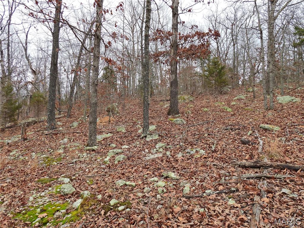 Tbd Cedar Ford Road Cook Sta, MO 65449 - Photo 10 of 13