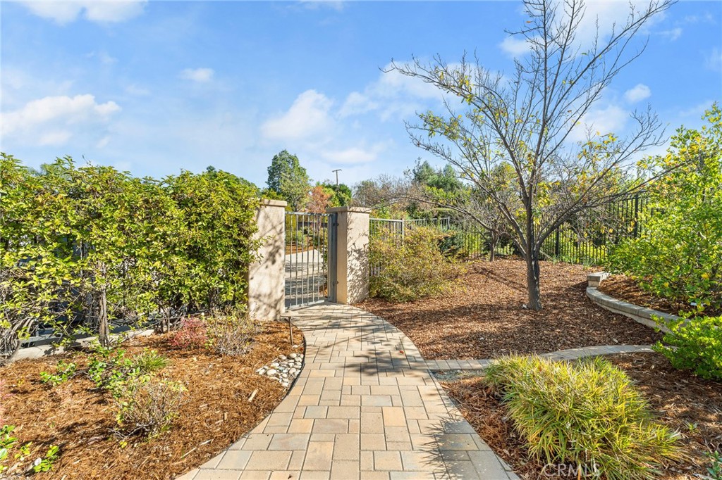 1632 Country Club Drive Redlands, CA 92373 - Photo 3 of 54 a street view with large trees