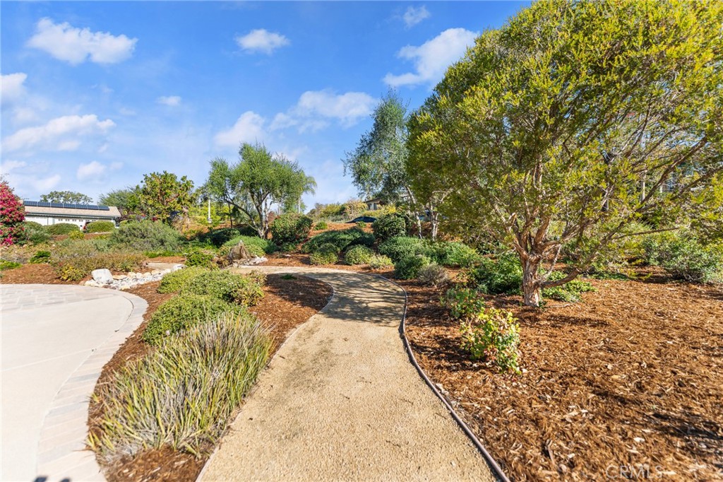 1632 Country Club Drive Redlands, CA 92373 - Photo 54 of 54 a view of a yard with plants and lake view