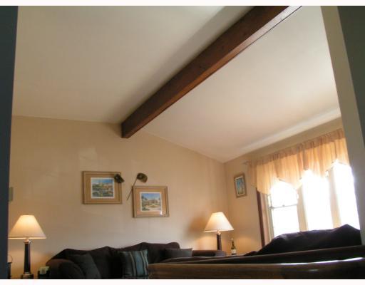 705 Blue Ridge Road Plum, PA 15239 - Photo 12 of 18 Other. Vaulted Ceiling in Living Room area
