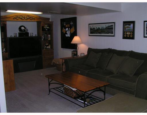 705 Blue Ridge Road Plum, PA 15239 - Photo 5 of 18 Den/Family/Great Room. Part of the finished basement area - Famiy Room. Updated carpeting and roomy!