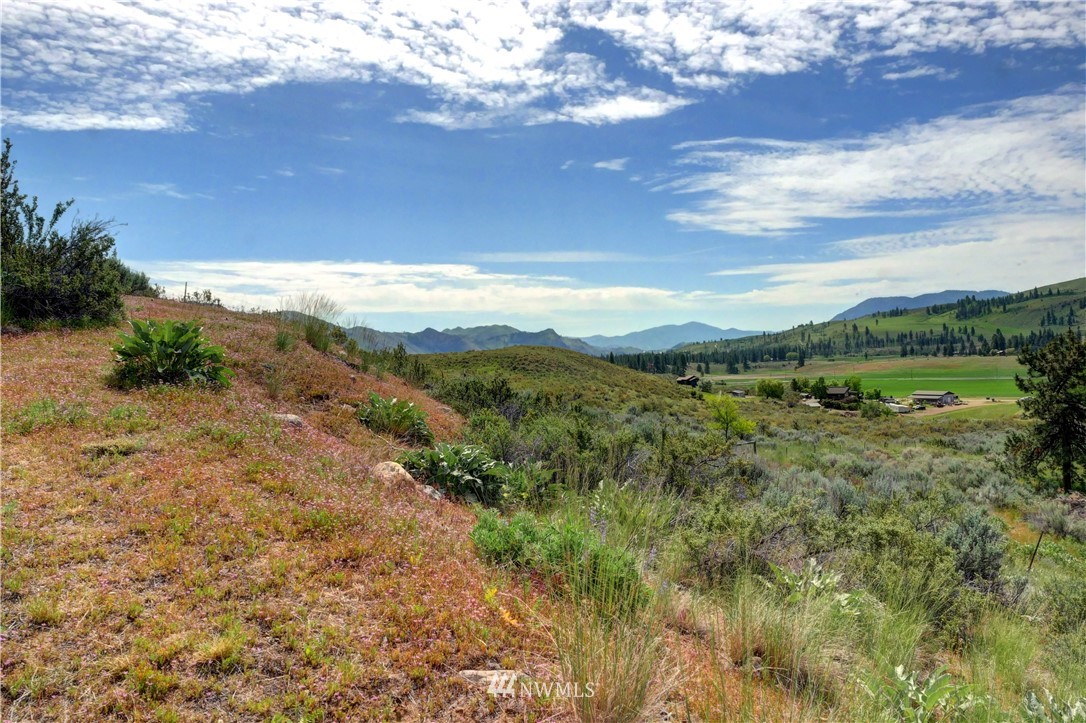 9 Serviceberry Road Winthrop, WA 98862 - Photo 38 of 40 Gallery Image 38