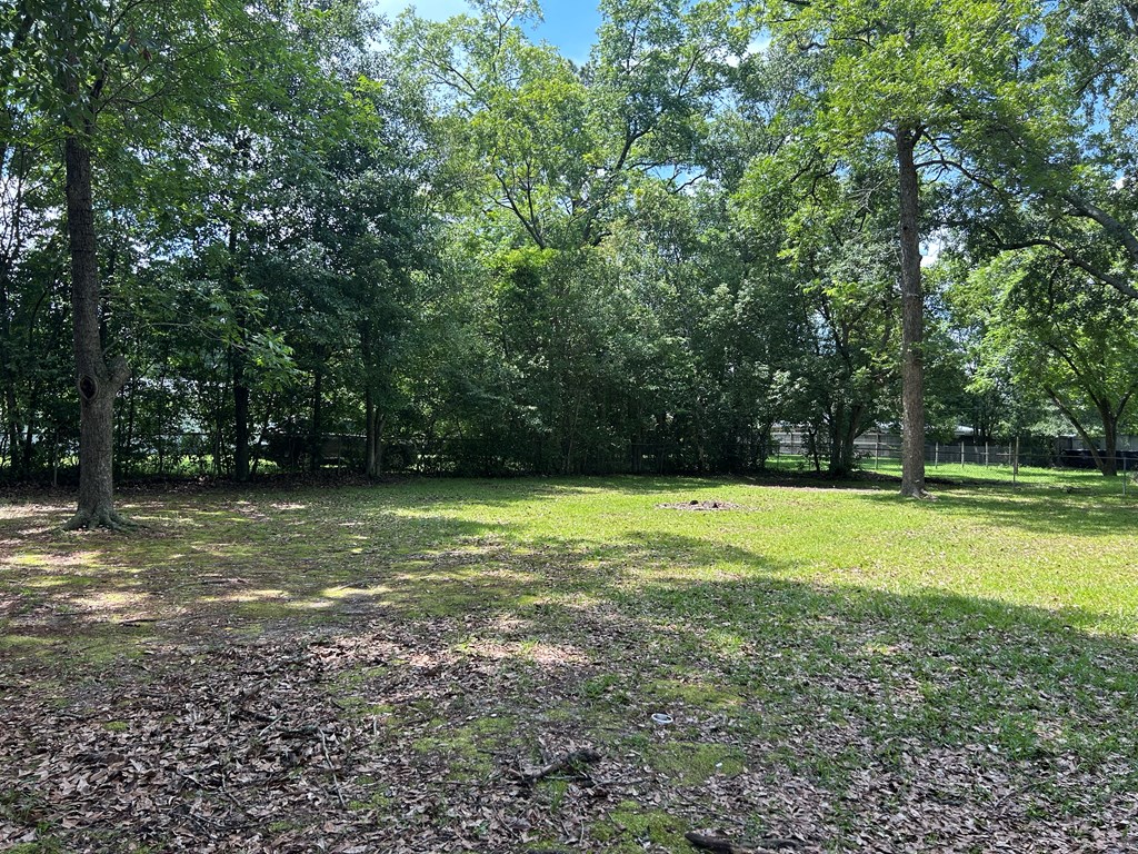 106 Tv Road Dothan, AL 36301 - Photo 31 of 35 Back Yard