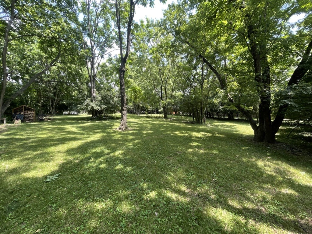 a big yard with lots of green space and trees in the back