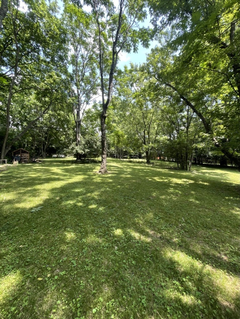 1521 Riverside Drive Nashville, TN 37206 - Photo 3 of 3 a view of a park with large trees