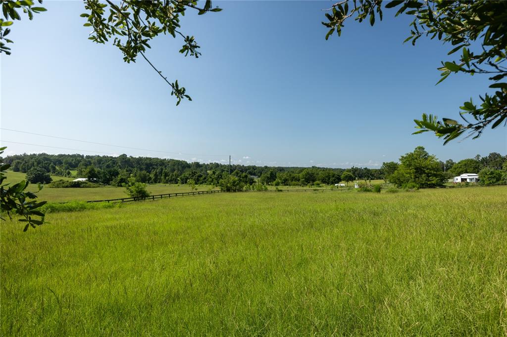 21601 Old Bellamy Road Alachua, FL 32615 - Photo 42 of 67