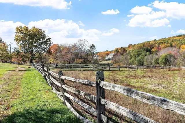 a view of field with tree in the background